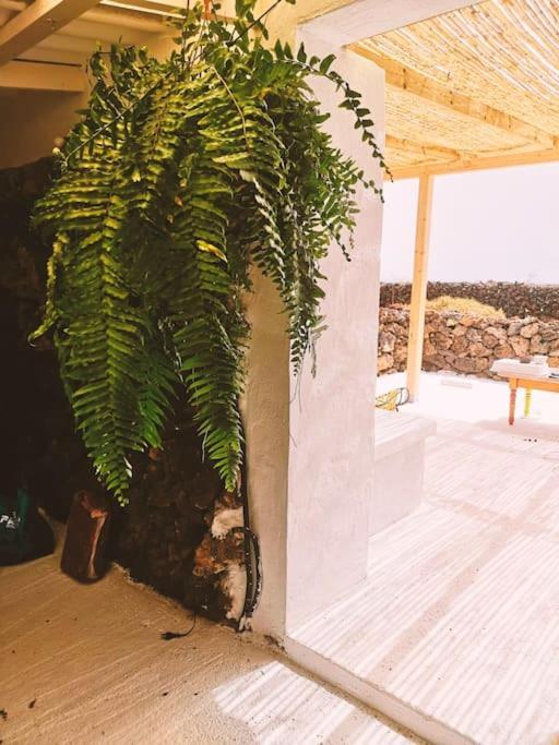 Estudio Con Bano Privado Órzola Zewnętrze zdjęcie